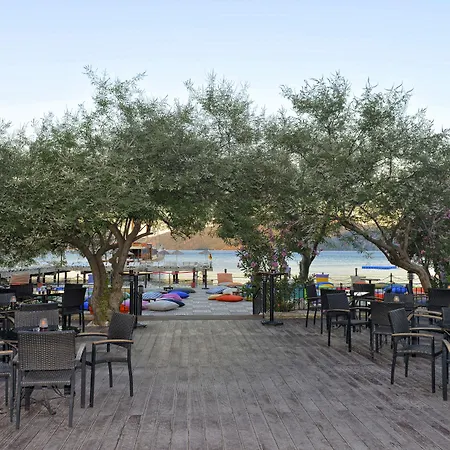 ホテル Grand Yazici Club Turban Termal 4*