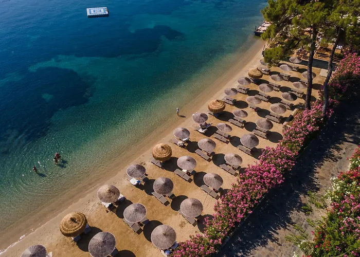 Отель Grand Yazici Club Turban Termal 4*