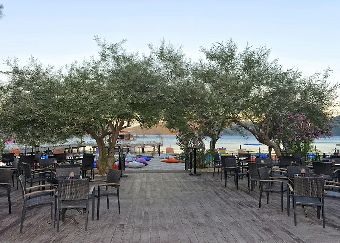 酒店 Grand Yazici Club Turban Termal 4*